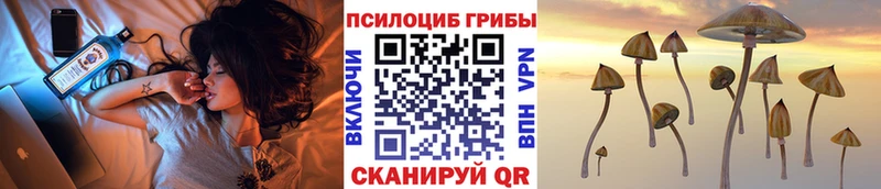 Купить  Краснокамск  Псилоцибиновые грибы MAGIC MUSHROOMS 